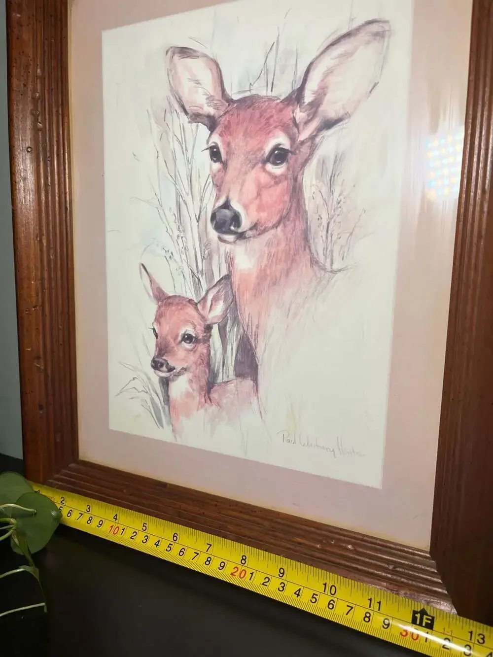 Paul Whitney Hunter Framed Deer and Fawn Print
